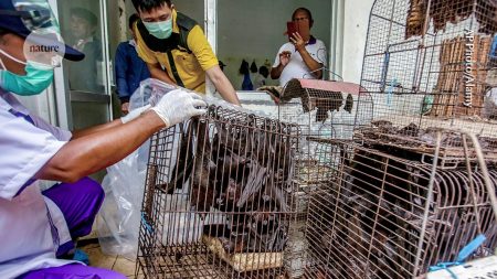 Experts detail confirmed facts and remaining uncertainties in ongoing situation